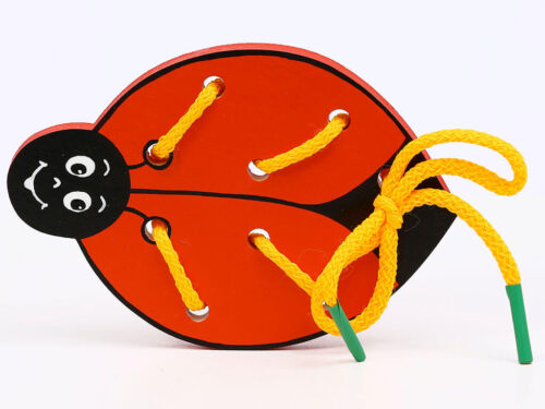 Beruška šněrovadlo